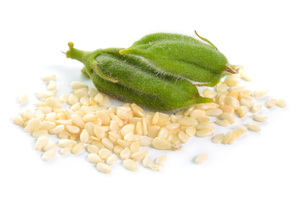 Semillas de sésamo orgánicas naturales de alta calidad disponibles para la venta a bajo precio - Product Image 4