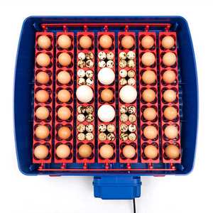 ตู้อบ49 PLUS แท้ - Product Image 3