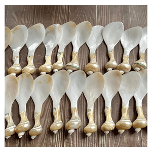 Cuillère en nacre naturelle pour la dégustation de desserts glacés et les collections de vaisselle de boutique, Vietnam - Product Image 5
