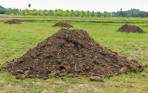 Engrais pour sols agricoles en poudre de fumier de chèvre NPK 100% biologique pour l'horticulture, le jardinage et l'aménagement paysager en vrac - Product Image 6