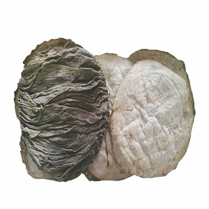 Top Quality <b>Beef</b> Frozen Omasum Wholesale Salted <b>Beef</b> Omasum - Scalded Omasum Tripe for Sale - Product Image 2