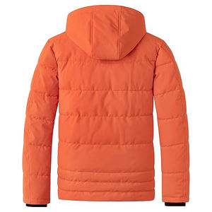 Manteau d'hiver décontracté pour hommes Style High Street Veste polaire légère Capuche détachable Tissu de laine résistant à l'eau Service OEM - Product Image 2