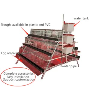 5000 Birds Chicken Poultry Farm A Type Battery Egg Laying Breeding <b>Hens</b> Layer Automatic Chicken <b>Cage</b> - Product Image 3