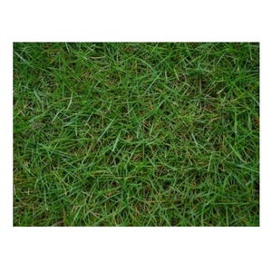 หญ้าแห้งอัลฟัลฟ่า/หญ้าแห้งทิโมธีและเบอร์มิวดา - Product Image 1