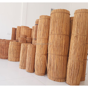 ออลสไปซ์สติกสดขนาด5นิ้วของแท้เกรด H1 100% ส่งตรงจากศรีลังกา - Product Image 2