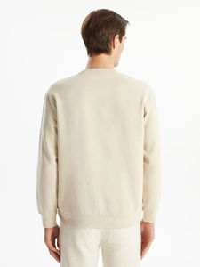 Sudaderas al por Mayor 100% Algodón con Cuello Redondo, Color Personalizado, Manga Larga para Hombre, Sudaderas de Alta Calidad con Serigrafía - Product Image 4