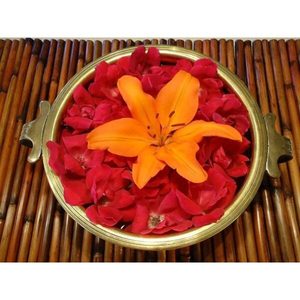 Urli Art Deco, soporte para plantas de latón, forma de PC única, accesorio contemporáneo Vintage para el hogar para uso en interiores para decoración del hogar Diwali - Product Image 2