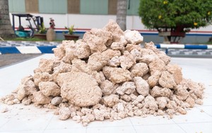 Approvisionnement en vrac de pulpe de manioc séchée pour l'alimentation animale, adapté aux usines d'aliments pour animaux et aux marchés d'exportation - Product Image 5