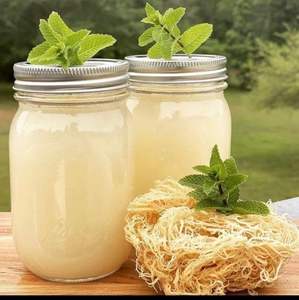 EXPAD Sea <b>Moss</b> Gel, Premium Organic 100% Natural Irish <b>Moss</b> Gel for Food and Cosmetic - Product Image 3