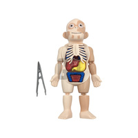 Modelo de Cuerpo Humano para Juguetes de Ciencia e Ingeniería