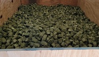 Foin d'alfalfa de qualité supérieure en cubes et granulés pour chevaux, chiens, bovins, porcs et poissons - Qualité alimentaire 25 kg/sac