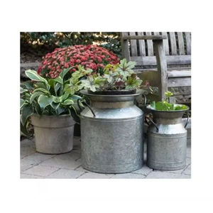 Maceta de plantas galvanizadas de primera calidad, macetas para decoración de sala de estar, macetas decorativas para jardín más vendidas, macetas para flores - Product Image 3