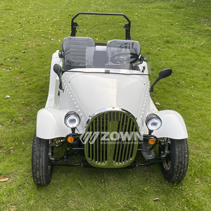 Precio de fábrica Mini Electric Classic Street Convertible 4 ruedas Sightseeing Car 2 asientos de cuero engranaje automático batería de litio - Product Image 1