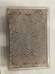 Miel en panal, producto a granel con células de miel intactas y perfil de sabor equilibrado para comercio internacional - Product Image 6
