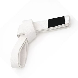 Ceinture de karaté personnalisée imperméable de haute qualité avec des bandes de couleur et un logo personnalisé - Équipement d'entraînement aux arts martiaux (unisexe) - Product Image 2