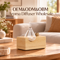 Diffuseur d'aromathérapie en bois naturel sans eau HIITII Premium Glass, sans fil, portable, pour la maison, l'extérieur, l'hôtel, 20 ml