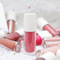 Fabrication de cosmétiques Gloss à lèvres végétalien en tube Luxe Gloss à lèvres personnalisé Pigment brillant Gloss à lèvres en gros