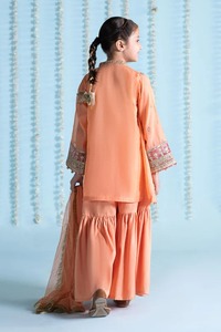 Lehenga Choli bordado para niñas paquistaníes con borlas elegantes y estilo neto para fiestas de cumpleaños y celebraciones de Eid - Product Image 6