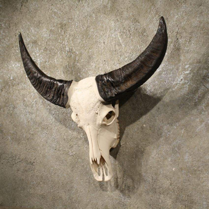 Art Deco Style Faux Ox <b>Skull</b> Resin Animal Painting with Tribal Carving and Horns Bone Look Features by tradebit - Product Image 3