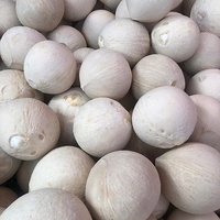 Coco joven fresco, coco desgranado, agua de coco, suministro a granel, exportador OEM de Vietnam