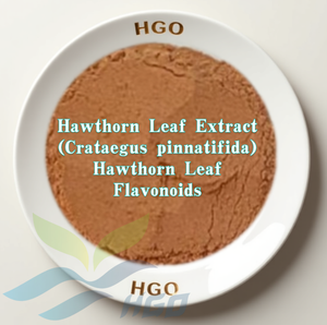 HGO Suministro directo de fábrica Puro Natural 45% Flavonoides Extracto de hoja de espino Crataegus Pinnatifida Extracto de planta de grado alimenticio - Product Image 1