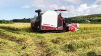 Yanmar Thailand YH850 D23W 85HP moissonneuse-batteuse de riz à haute efficacité moissonneuse batteuse pour champs humides moteur de prix usine