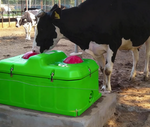 <span class=keywords><strong>Bebederos</strong></span> <span class=keywords><strong>para</strong></span> Animales con 2 Orificios Anticongelantes, Sin Necesidad <span class=keywords><strong>de</strong></span> Romper Hielo, Bebedero <span class=keywords><strong>para</strong></span> Ganado, Oferta <span class=keywords><strong>de</strong></span> Invierno - Product Image 1