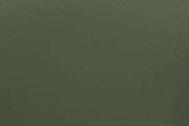 สีเขียวมะกอก