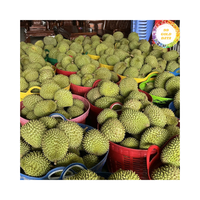 Geselecteerde Verse Durian Uit Vietnam Verzonden Als Verse Durian 99 Goudgegevens, Perfect Voor Fruitmarkten En Snacks