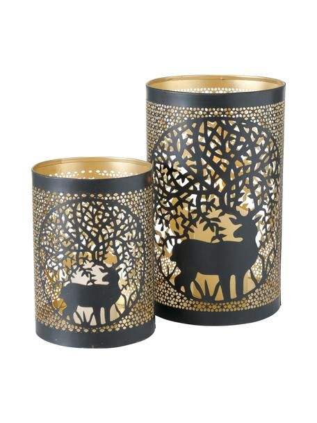 ตามที่แสดง