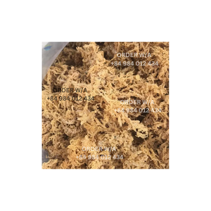 สัมผัสประโยชน์ของมอสทะเลบริสุทธิ์100%: มอสทะเลไอริชสีทอง, งานฝีมือในป่าและมีจำหน่ายในราคาขายส่ง - Product Image 4