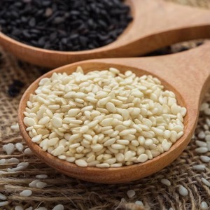 เมล็ดงาขาวธรรมชาติสำหรับส่งออก - Product Image 5