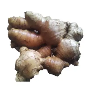 Gingembre frais sec moulu de haute qualité, biologique, pour épices, cuisine indienne et asiatique, distributeur en gros Vietnam 99GD 0,5kg 2 - Product Image 1