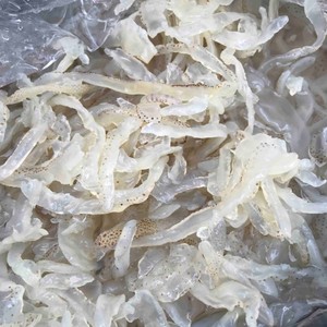 Medusa salada de mariscos frescos, medusas saladas en Vietnam, deliciosas medusas saladas para vacaciones - Product Image 1