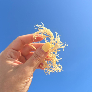 สาหร่ายเดลต้ามาตรฐานสูงมอสทะเลแห้งผลิตภัณฑ์ส่งออกปรุงรส - Product Image 2