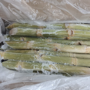 Jugo de Caña de Azúcar Congelado Naturalmente Dulce, Ideal para Tiendas de Smoothies y Productos Listos para Beber - Product Image 1