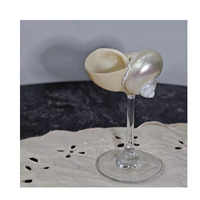 Verre à vin Eco Turbo Shell pour décor de plage Gobelets de conque faits à la main pour les événements en bord de mer et l'utilisation à l'exportation