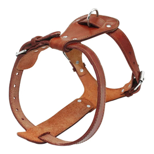 Arnés de diseño personalizado con herrajes resistentes, material transpirable, ajuste cómodo y seguro para actividades activas. - Product Image 4