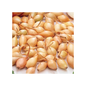 Premium Quality New Crop Yellow <b>Onions</b> <b>Fresh</b> and Healthy at a Great Price-Wholesale Available - Product Image 3