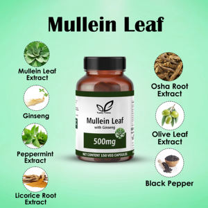 แคปซูลใบ mullein 500มก. ผลิตภัณฑ์เสริมสมุนไพรนับจำนวน150ฉลากส่วนตัว OEM ODM ธรรมชาติเพื่อสุขภาพระบบทางเดินหายใจและการสนับสนุนภูมิคุ้มกัน - Product Image 5