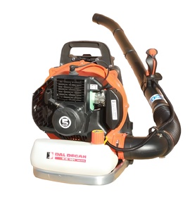 Soplador de Mochila Motorizado de Alta Calidad Hecho en Italia DK201 para Limpiar Superficies Grandes con Función de Soplador, Motorizado de Mochila - Product Image 1