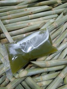 น้ำอ้อยธรรมชาติบรรจุขวดแช่แข็งจากเวียดนาม - Product Image 6