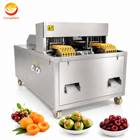 Automatische Olijf Pitter Perzik Abrikoos Pitting Steenverwijderende Machine Fruitkern Verwijderaar Voor Voor Fruit Productielijn