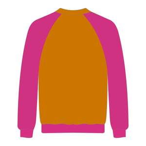 Delta Psi Rho Sorority Raglan Sleeve <b>Crewneck</b> Sweatshirt Gold Cotton Poly Filling the Voids Jumper Greek Life Casual Apparel - Product Image 3