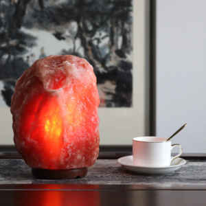 Lampe au sel naturel de l'Himalaya en forme de lune polie à la main par IMPEX PAKISTAN - Product Image 2
