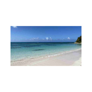 ซื้อแผ่นไม้บีชขนาดยาวในราคาที่ถูกที่สุดสำหรับโครงการก่อสร้างขนาดใหญ่ราคาไม่แพงสำหรับทุกคำสั่งซื้อ - Product Image 4