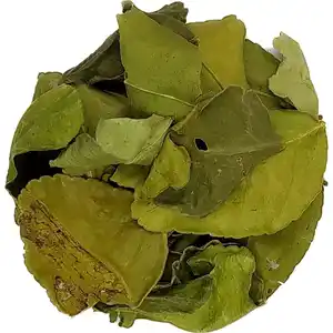 Feuille de Offres Spéciales makrut 100% extrait de lime de kaffir feuilles de lime makrut séchées sans additif feuilles de lime kaffir séchées de couleur naturelle