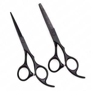 Kit de ciseaux de coiffure professionnels 2 pièces, 6 pouces, en acier inoxydable, pour coiffeurs de salon - Product Image 3