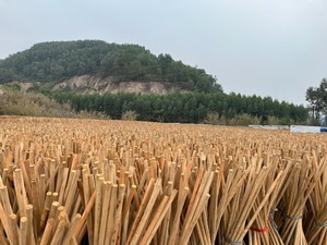 Gran cantidad de palos de madera redondos para la producción agrícola y la fabricación de muebles - Product Image 2
