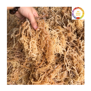 Algues Eucheuma cottonii séchées naturelles Propre et séché au soleil Produit riche en collagène de mousse de mer biologique du fournisseur vietnamien - Product Image 2